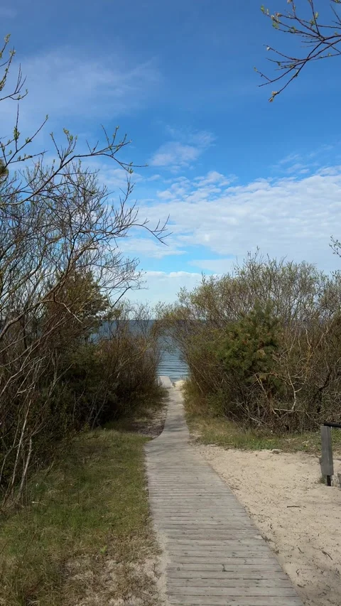 Wooden Path Through Coastal Shrubs to Baltic Sea Stock Footage 336560051