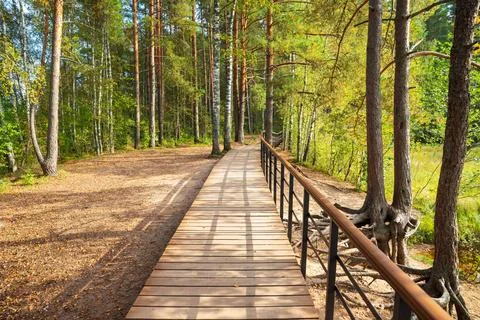 A wooden path through a forest clearing with handrails over a cliff. Foto stock