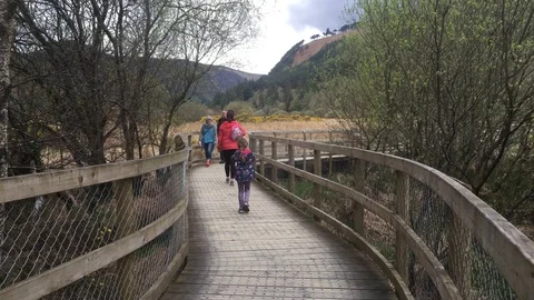 Wooden Path Through the Wicklow Mountains, Ireland Stock Footage 89097409