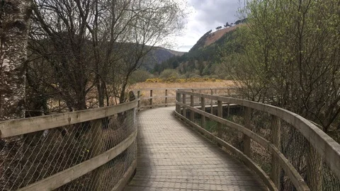 Wooden Path Through the Wicklow Mountains, Ireland Stock Footage 89097427