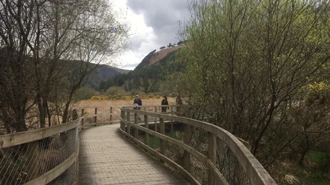 Wooden Path Through the Wicklow Mountains, Ireland Stock Footage 89097434