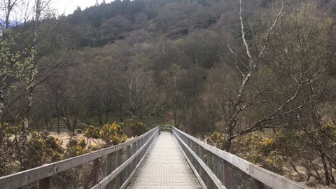 Wooden Path Through the Wicklow Mountains, Ireland Video stock 89097478