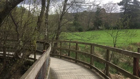 Wooden Path Through the Wicklow Mountains, Ireland Stock Footage 89097489
