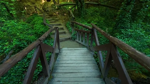 Wooden path winds through lush green forest. Veliki Buk, Serbia. 库存影片 336888803