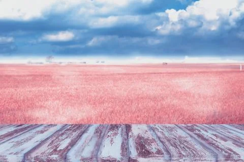 Wooden pattern floor or table top with the rose color of rice in the field Stockfoto's