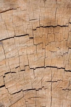 Wooden pattern Stock Photos