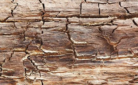 Wooden pattern Stock Photos