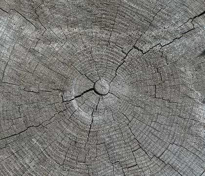 Wooden pattern Stock Photos