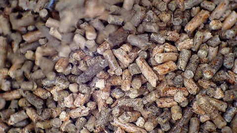 Wooden pellets.processing of wood. Stock Footage 100291443
