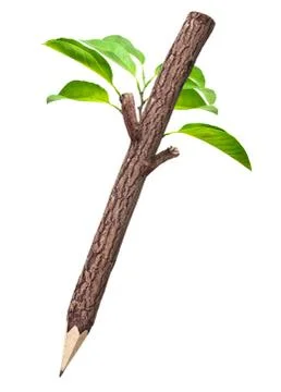 Wooden pencil with leaf Stock Photos