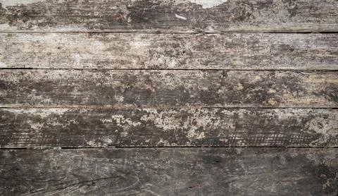 Wooden Stock Photos