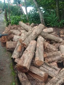 Wooden Stock Photos