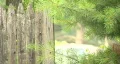 Wooden Picket Fence HD Footage