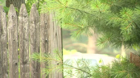 Wooden Picket Fence Stock Footage
