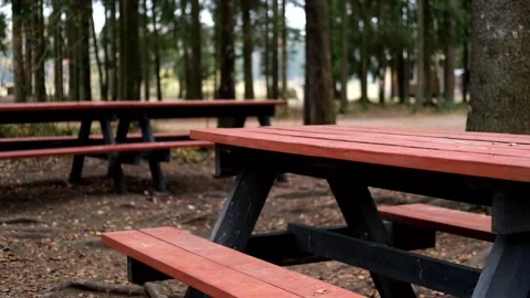 Wooden picnic table in forest setting with gradual camera zoom in on details 스톡 동영상 322071169
