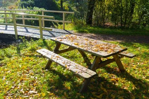 Wooden picnic table Stock Photos