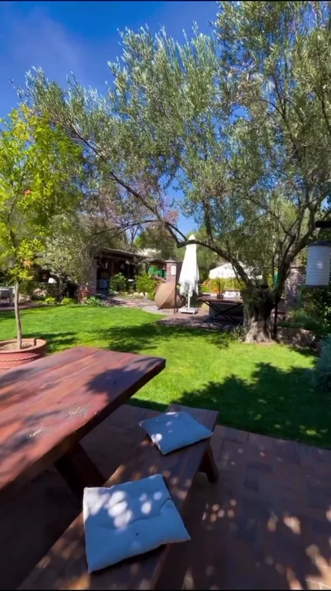 Wooden Picnic Table Under Olive Trees in a Mediterranean Hotel Garden Stock Footage 345347627