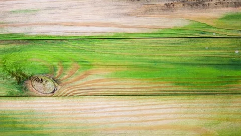 Wooden plank flooring in green mold. Fungus, lichen, board surfaces,animation Stock Footage 290966853