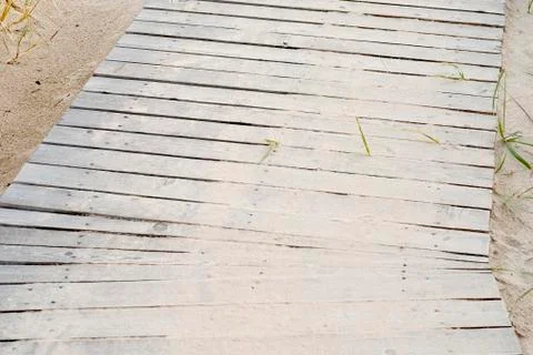 Wooden plank path Foto stock