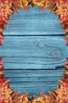 Wooden plank surface is featuring rustic flat design with autumn leaf border in Stock Photos