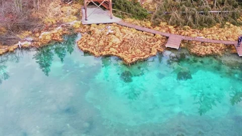 Wooden platform above emerald spring Zelenci Slovenia Video stock 324712560