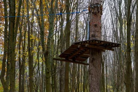 Wooden platform high in the trees inside a forest during autumn season with bare Stock Photos
