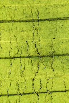 Wooden plunks as background Stock-Fotos