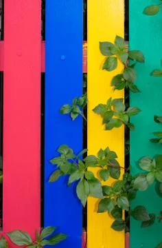 Wooden plunks as background 스톡 사진