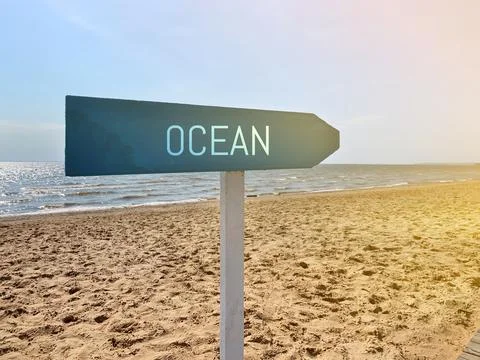 Wooden pointer on the beach Stock Photos