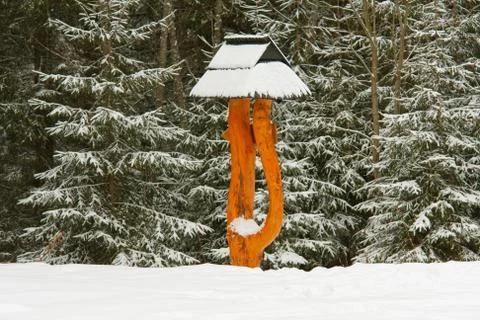 Wooden pointer in forest Stock Photos