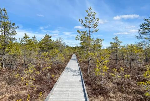 A wooden pole with an indicator of the direction and distance of a walking route Stock Photos