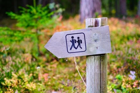 A wooden pole with an indicator of the direction of a walking route in a forest Stock Photos