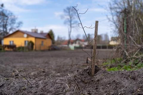 A wooden pole in sharpness, in the foreground, marks the border point of tert Stock Photos