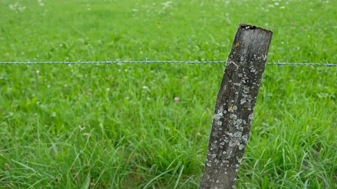 Wooden post with barb wire in front of a green meadow Stock Footage 78071322