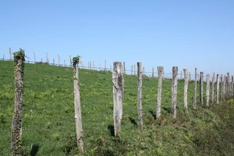 Wooden post Stock Photos
