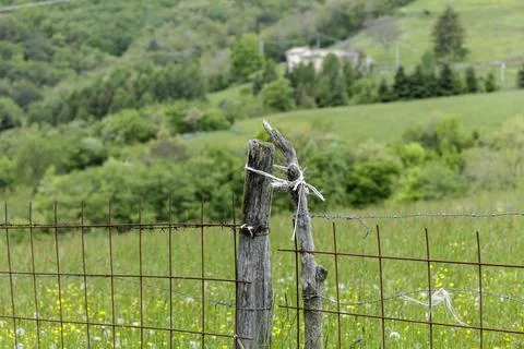 A wooden post 库存照片