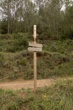 Wooden post with signposts in the forest Stock Photos