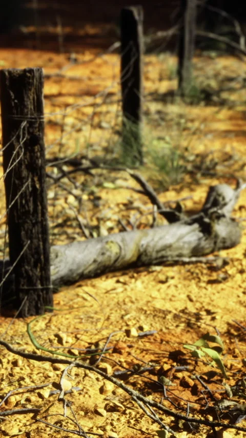 Wooden posts and fallen branch on orange soil in a rural area Stock Footage 335313236
