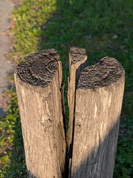 Wooden Posts Cast Shadows. Rustic Wooden Fence Scene. Pastoral Scene Featur.. Stock Photos