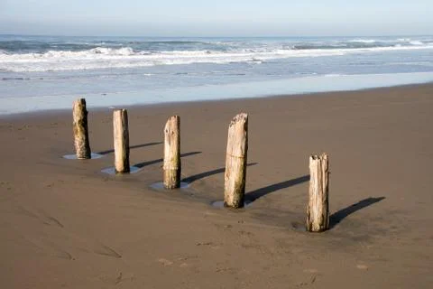Wooden posts Stock Photos