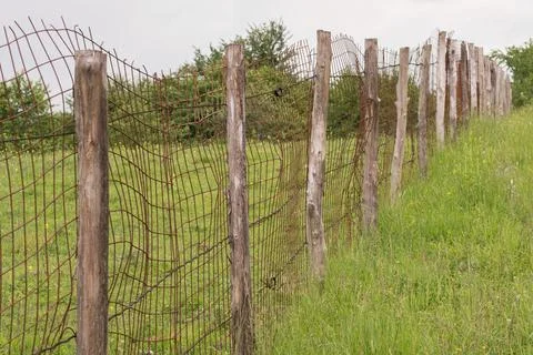 Wooden posts with rusty metal mesh on the background of green grass. The fenc Stock Photos
