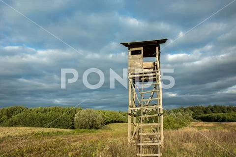 Wooden pulpit for hunters, meadow and forest - bottom view Stock Photos