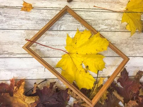 Wooden rectangular picture frame and yellow colorful natural autumn leaves, m 스톡 사진