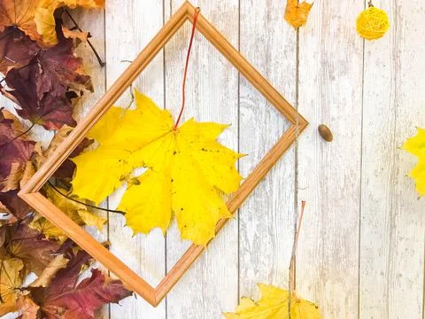 Wooden rectangular picture frame and yellow colorful natural autumn leaves, m 写真素材