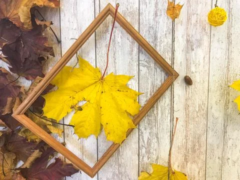 Wooden rectangular picture frame and yellow colorful natural autumn leaves, m Stock Photos