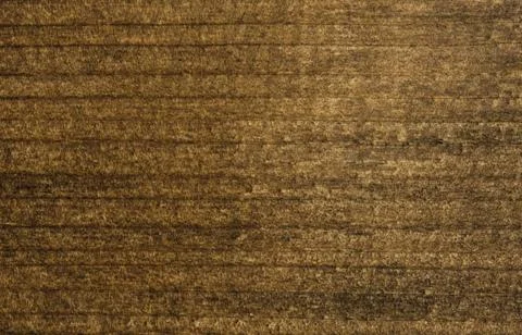 Wooden rectangular piece Wooden rectangular piece. Black isolated ,model r... Foto stock