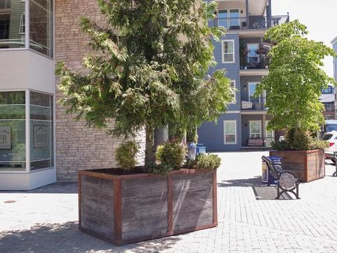 Wooden rectangular planter boxes with green shrubs and a public park bench .. Photos