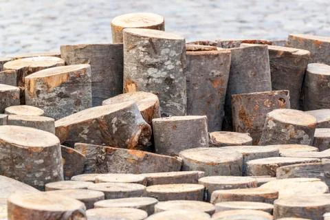 Wooden river Foto stock