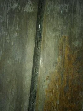 Wooden rough wallpaper with different elements and dark illumination Foto stock