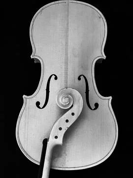 Wooden Scroll,part of violin,put on background 写真素材